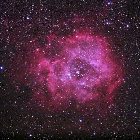 バラ星雲 Dec.2015