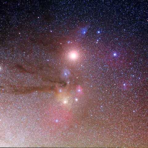 さそり頭部 May 2016