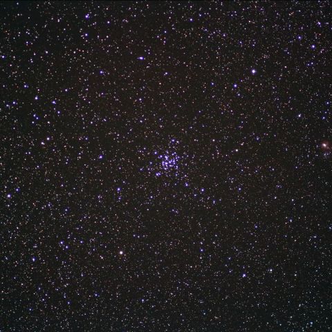 M36 Nov. 2016