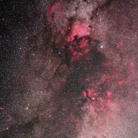 白鳥尾部 Nov. 2016