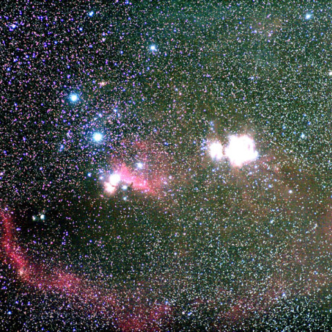 バーナードループ