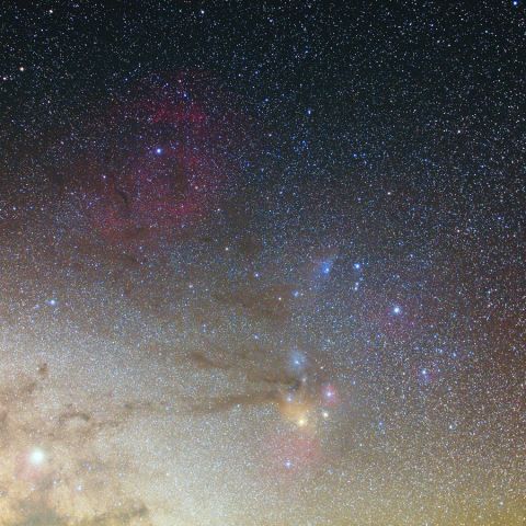 さそり頭部 Mar. 2019