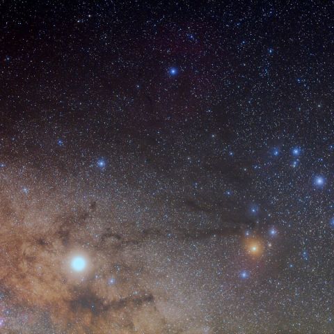 さそり頭部 May 2019