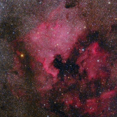 NGC7000(135mm) Jul. 2019