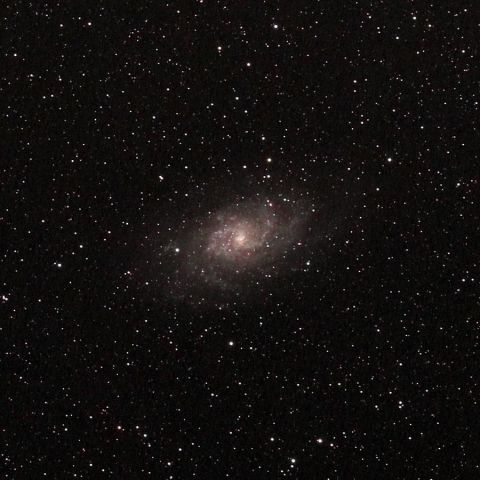 M33(135mm) 拡大 Jul. 2019