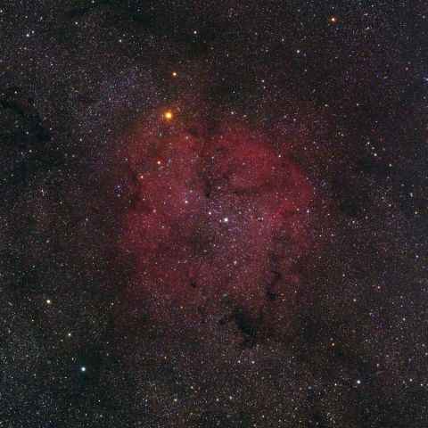 IC1396(135mm) Jul. 2019