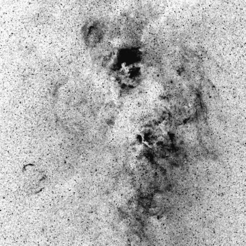 白鳥座尾部-Hα Jul. 2019