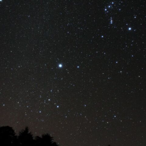 冬の星座6 Oct. 2019