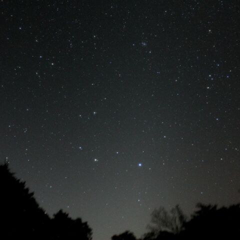 昇る大ガマ Oct. 2019