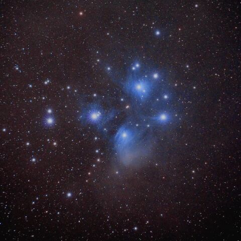 M45 Nov. 2019