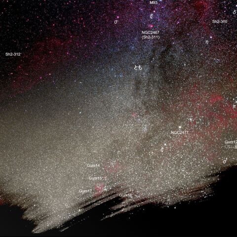 ガム星雲 Nov. 2019