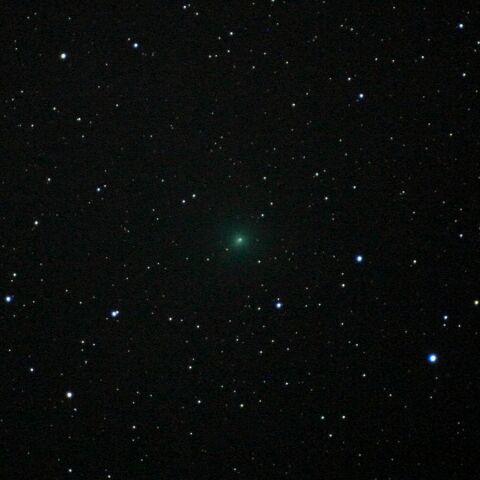 C/2019Y4 3/20宵 恒星基準