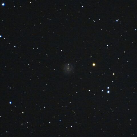 NGC3184 Mar. 2020