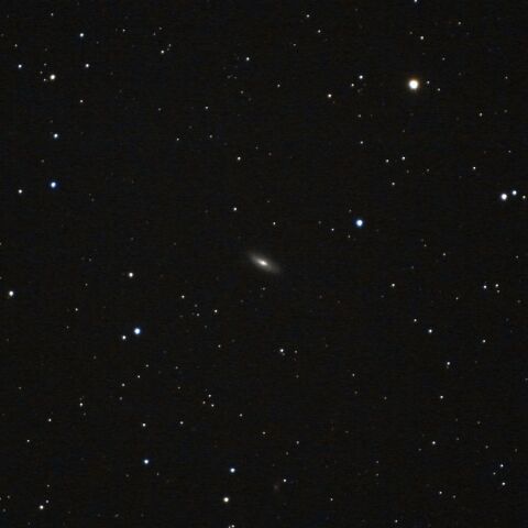 NGC5005 Mar. 2020