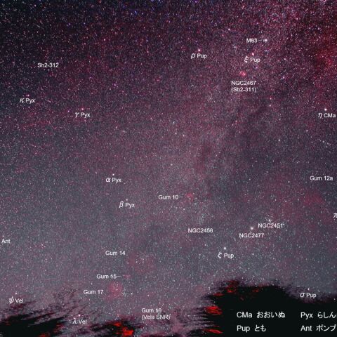 ガム星雲 Mar. 2020