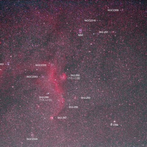 IC2177周辺 Mar. 2020