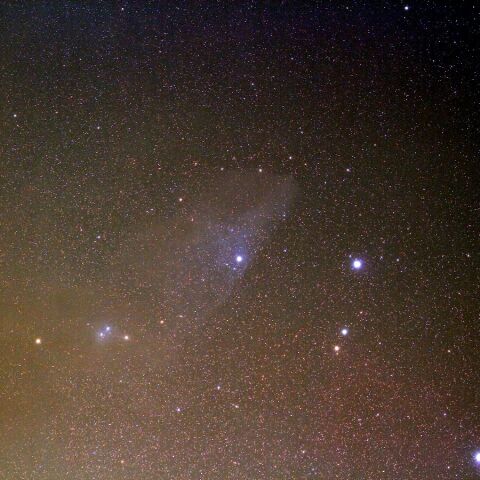 IC4592 Mar. 2020