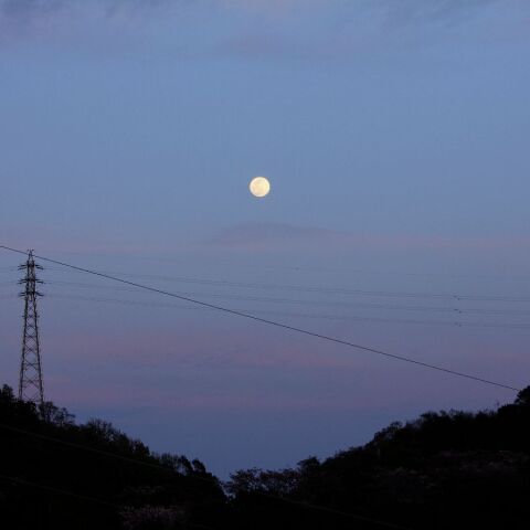 昇るスーパームーン 4/7夕