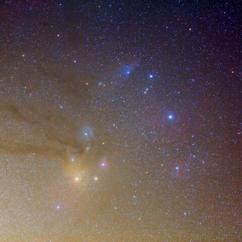 さそり頭部 Mar. 2020