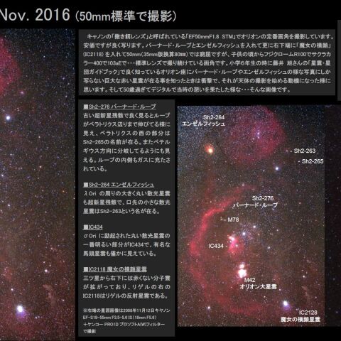 ★オリオン付近 Nov. 2016
