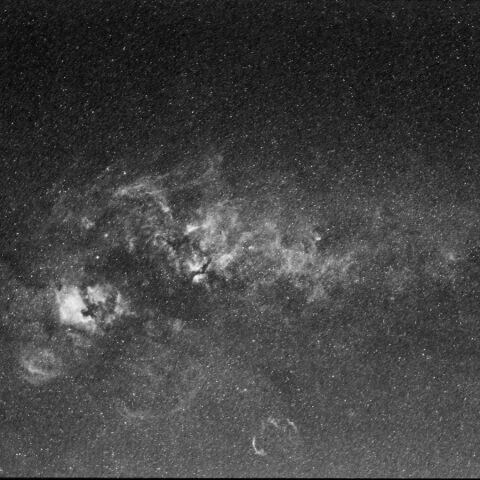 Hαで白鳥座 Aug. 2020