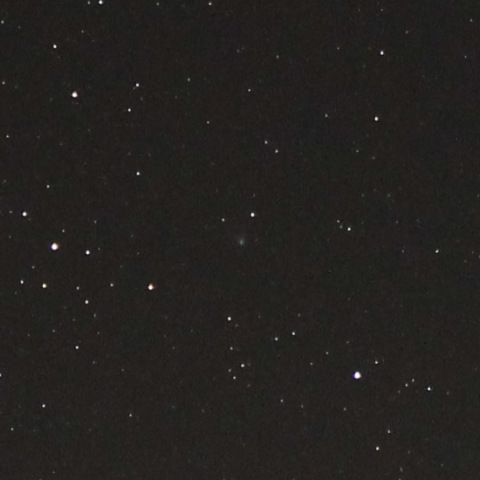 C/2009P1(Garradd)11/25