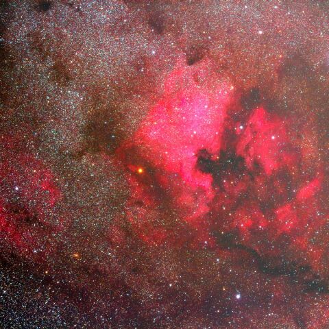 デネブ周辺 Nov. 2020