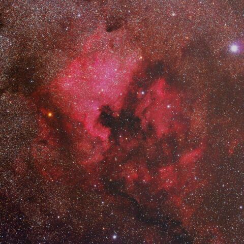 NGC7000(135mm) Nov. 2020