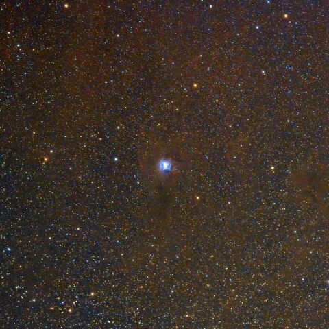 NGC7023(135mm) Nov. 2020