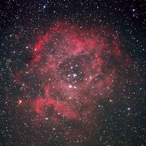 Rosette Nebula
