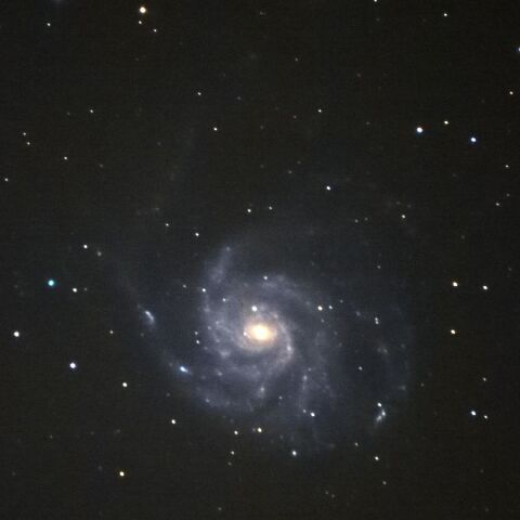 M101 Apr. 2021