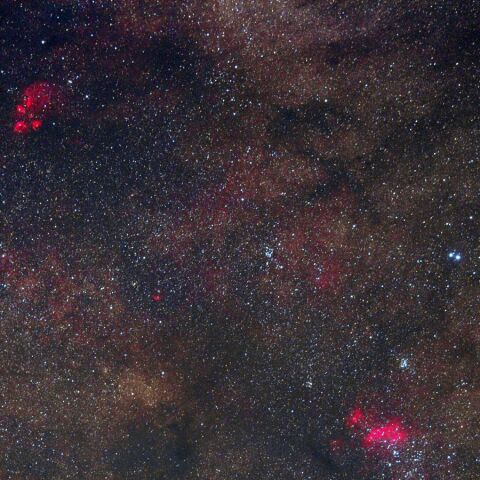 さそり尾部 Apr. 2021