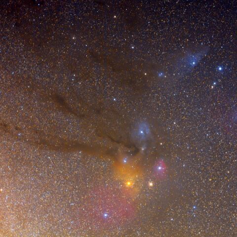 さそり頭部 Apr. 2021