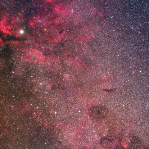 NGC6888周辺 Aug. 2021