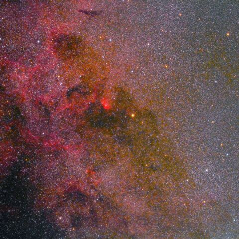 ηCyg周辺 Oct. 2021