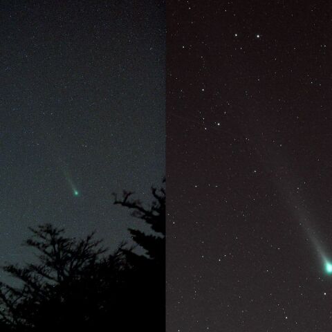 C/2021A1 #1 12/11未明