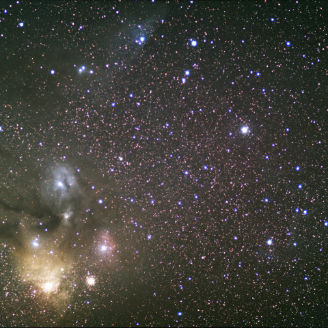 サソリ頭部 Mar.2012