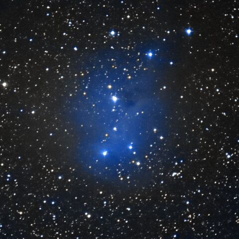 IC2169 Dec. 2021