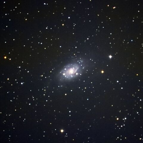 NGC2403 Dec. 2021