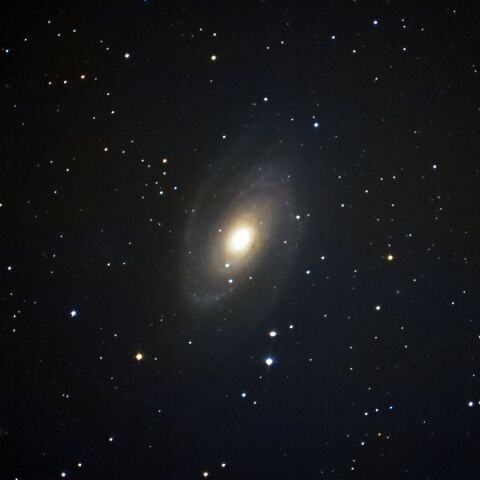 M81 Dec. 2021
