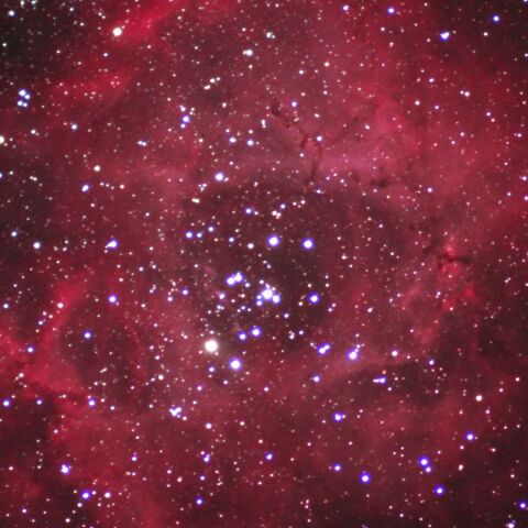 NGC2237拡大 Dec. 2021