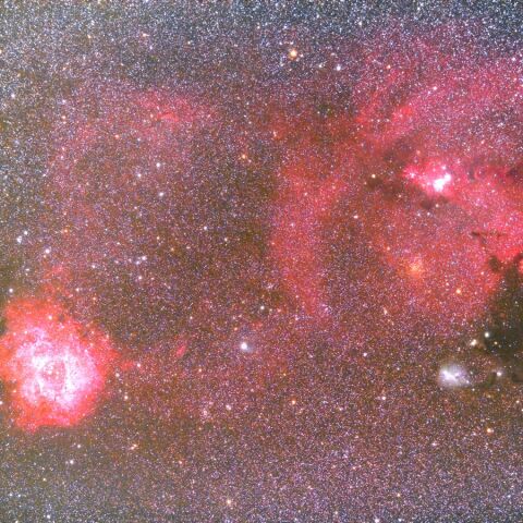 NGC2237周辺 Dec. 2021
