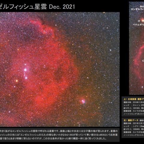 ★Sh2-264 エンゼルフィッシュ星雲