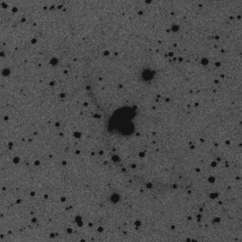 NGC4038-9強調 May 2022