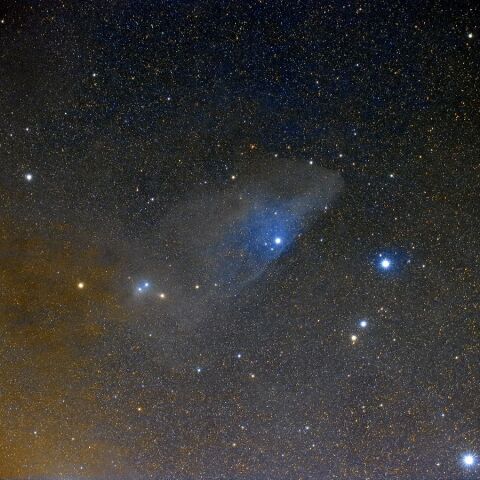 IC4592 May 2022