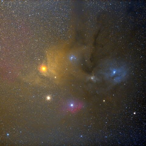 IC4606 May 2022