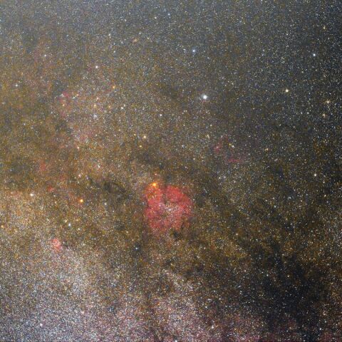 IC1396周辺 Jul. 2022