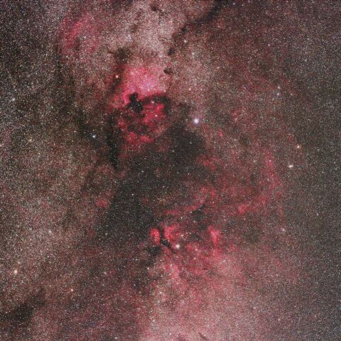 白鳥尾部 Jul. 2022