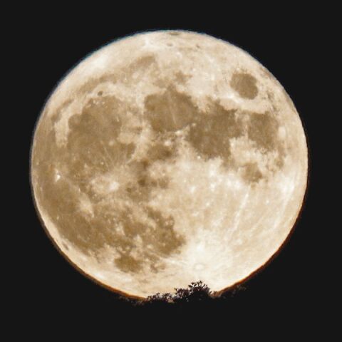 昇る中秋の名月