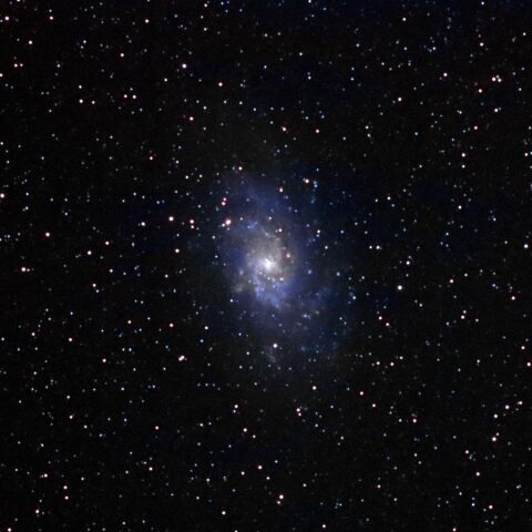 M33#2 Sep. 2022